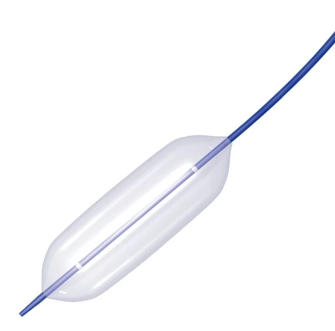 Disposable Dilation Balloon Catheter