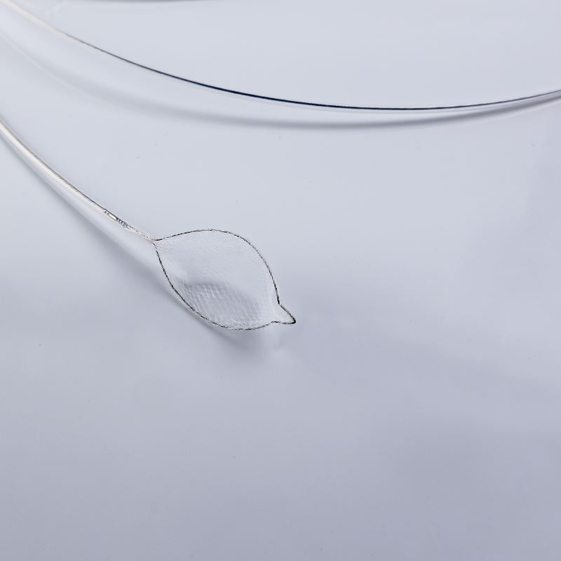 Endoscopic Retrieval Net